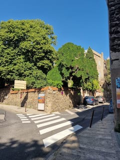 Pratiquez le yoga à l'Olives Mill