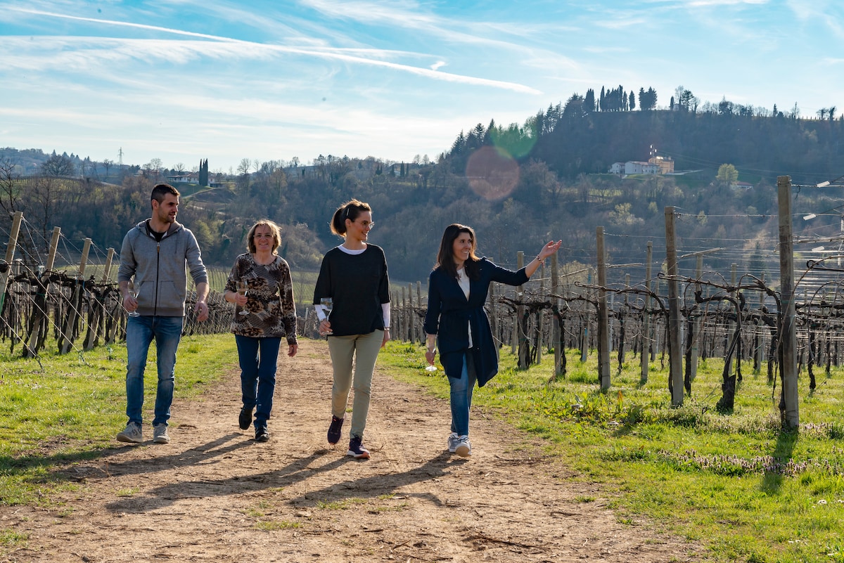 Wine Masterclass on the hills