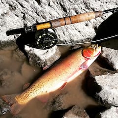 Pesca con mosca en bolsas salvajes con un guía de río