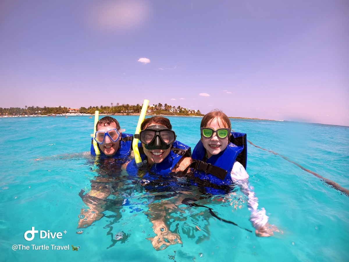 Turtles Snorkelin with a GoPro Session