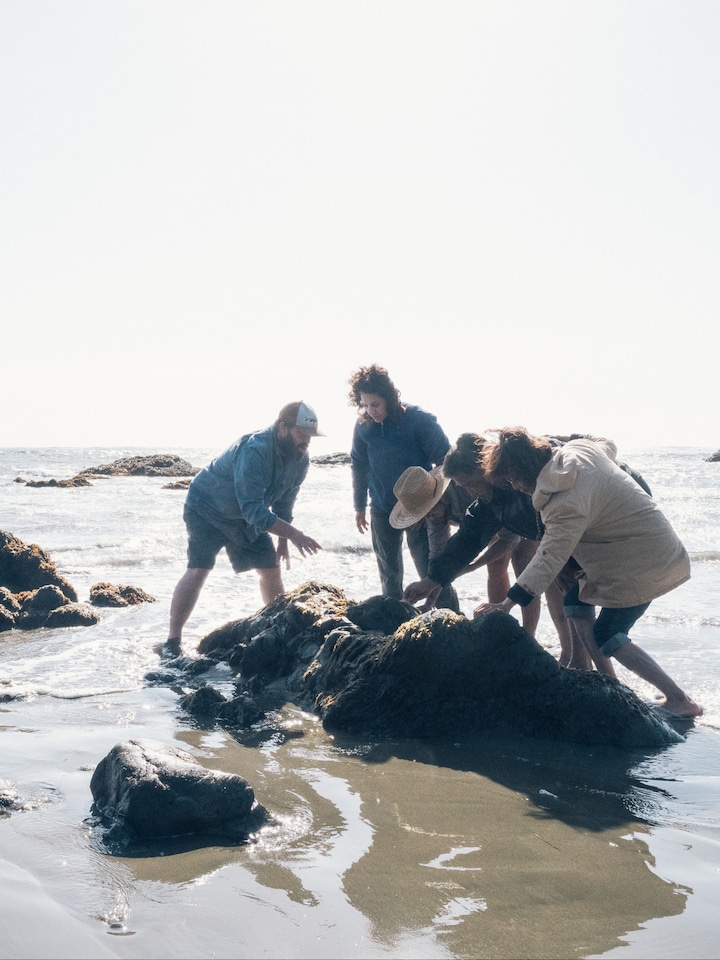 Forage edible seaweed · ☆4.99