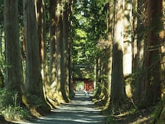 Parque de los Monos de Nieve y santuario de Togakushi en Nagano
