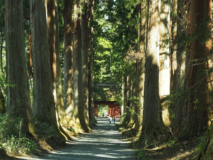 Snow Monkey Park and Togakushi Shrine in Nagano