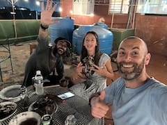 Bebidas y puros en Habana Enigma Capitol