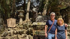 Todo el parque Nara y sus descubrimientos, con ceremonia del té