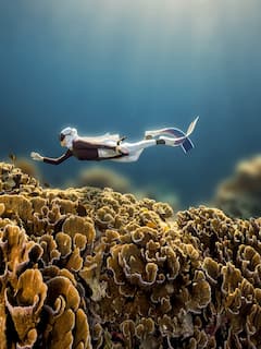 Excursion privée d'île en île aux îles Gili et plongée avec tuba