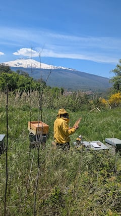 Descubre la casa de las abejas en el Etna