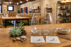 Créez un terrarium de plantes succulentes vivantes