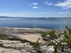 Tutustu Helsingin piilotettuihin saariin yksityisellä veneellä