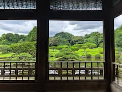 登上东京塔，乘坐屋形船巡游