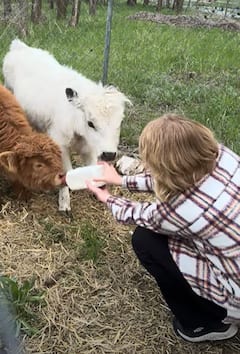 เจาะลึกเบื้องหลังการสร้างสรรค์กับ Goats of Glacier