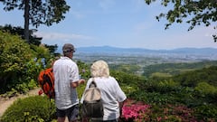 7 heures en vélo électrique : bambou, temple de montagne et dîner