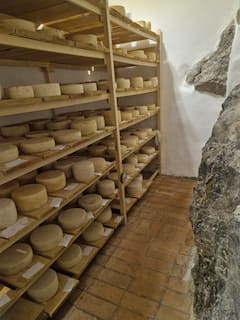 Découvrez l'histoire du fromage : fromages biologiques de chèvre et de brebis