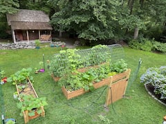 Walk a Living Trellis Garden in Jamestown
