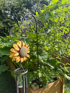 Walk a Living Trellis Garden in Jamestown