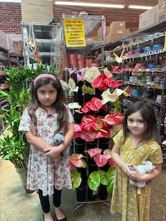 Excursión al mercado de flores y taller de diseño floral