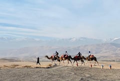 阿加菲沙漠：四轮摩托车、骆驼骑行、游泳池和午餐