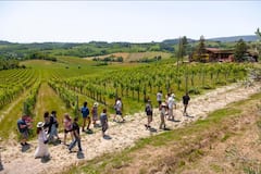 Sienne, San Gimignano, Pise et dîner depuis Florence