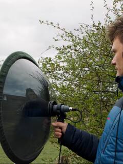 Observation des oiseaux à Helsinki : les secrets des oiseaux