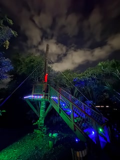 Faites de la tyrolienne dans la jungle après la tombée de la nuit