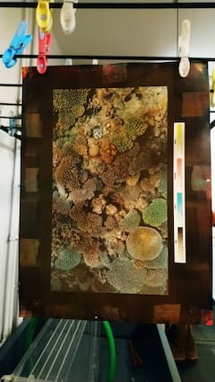 雕刻和照相雕刻