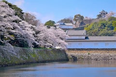 彦根和大见八幡的城堡和运河