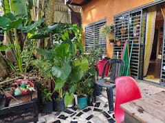 Gastronomie de la forêt du Pará