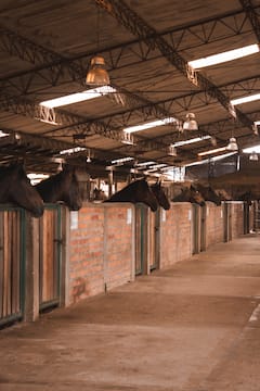 Fabrica de Caballos