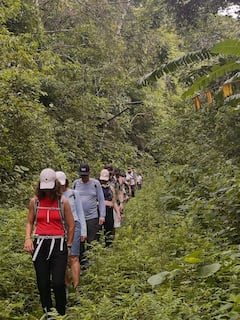 Trekking por los senderos de Mantiqueira