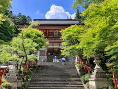 Depuis Kyoto : randonnée pédestre à Kurama-Kibune
