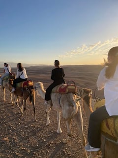 Paseo en camello al atardecer y cena marroquí