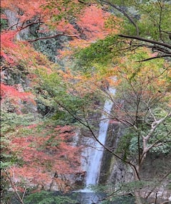 与当地导游一起游览神户的大自然和日本的传统，并品尝神户牛肉