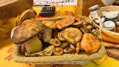 Visite du marché alimentaire local à Rome