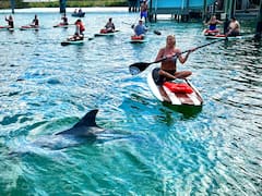 Excursion en planche à pagaie et en kayak à St. Augustine avec dauphins et lamantins