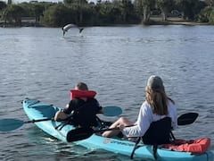 Excursion en planche à pagaie et en kayak à St. Augustine avec dauphins et lamantins