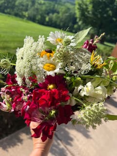Récoltez votre bouquet dans une ferme