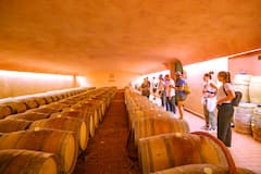 Visite à vélo électrique du Chianti avec déjeuner et dégustation