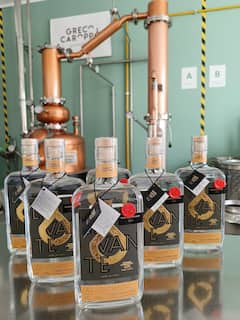Tour por la destilería - Degustación de ginebra / amari