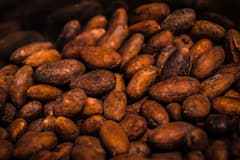 Bogota : atelier et dégustation de cacao colombien