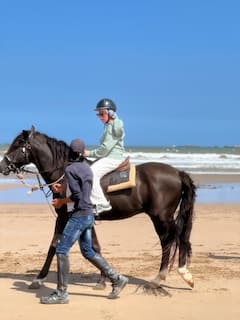 Entre plage et dunes