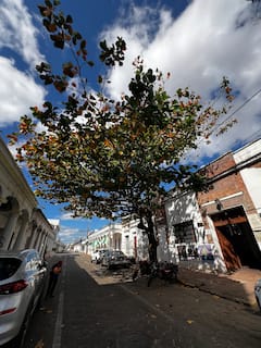 Descubre el centro de Santa Cruz - anfitrión local
