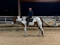 Clase de equitación en la arena o paseo por el sendero