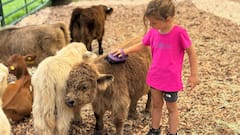 Maui Animal Safari: Road to Hana