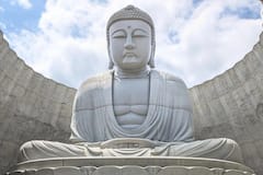 佛山、札幌宝地和清酒品鉴