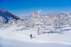 Raqueta de nieve en un paisaje invernal mágico