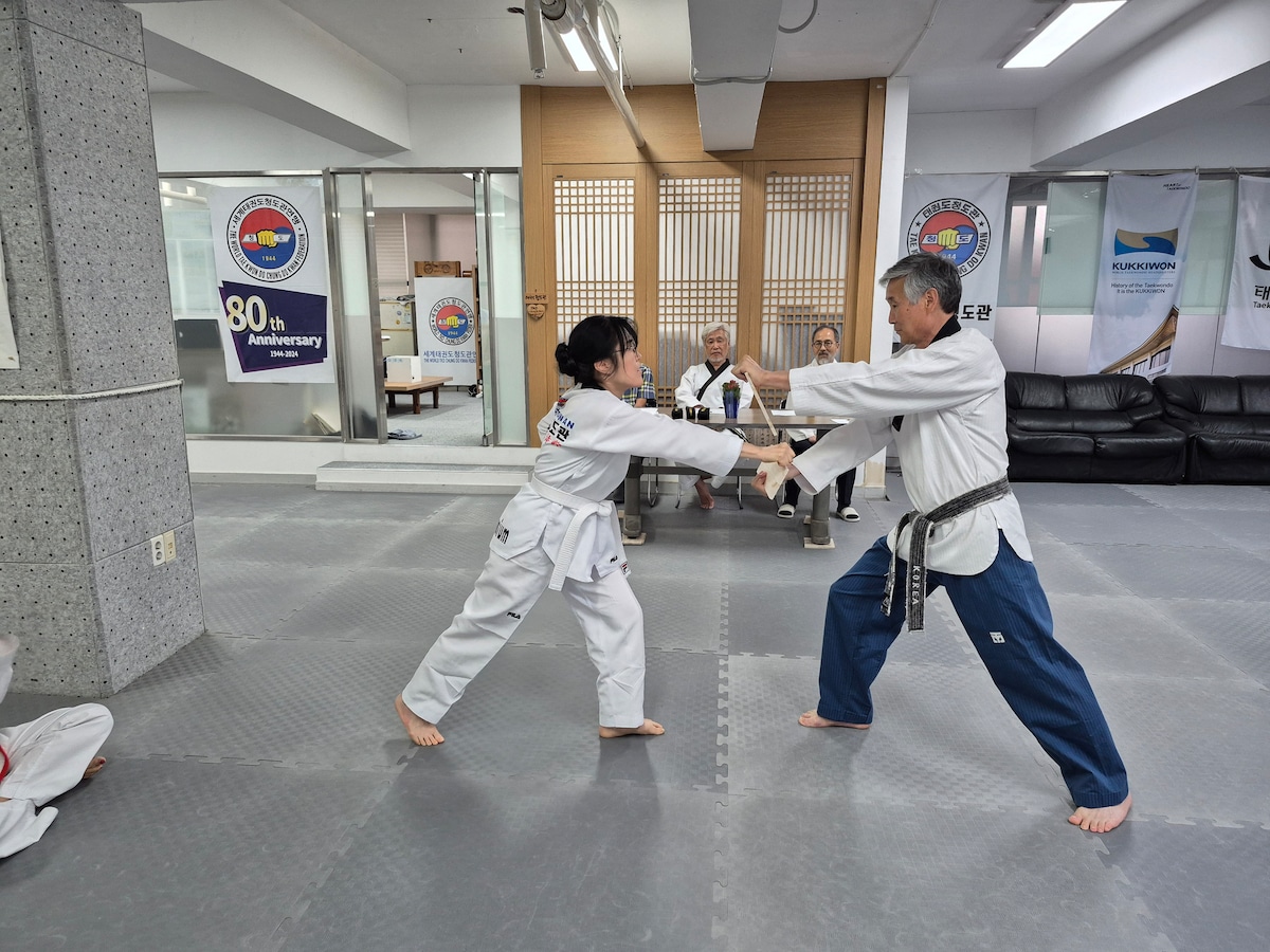 Seoul Taekwondo Experience: Traditional Taekwondo Class with 40 Years ...