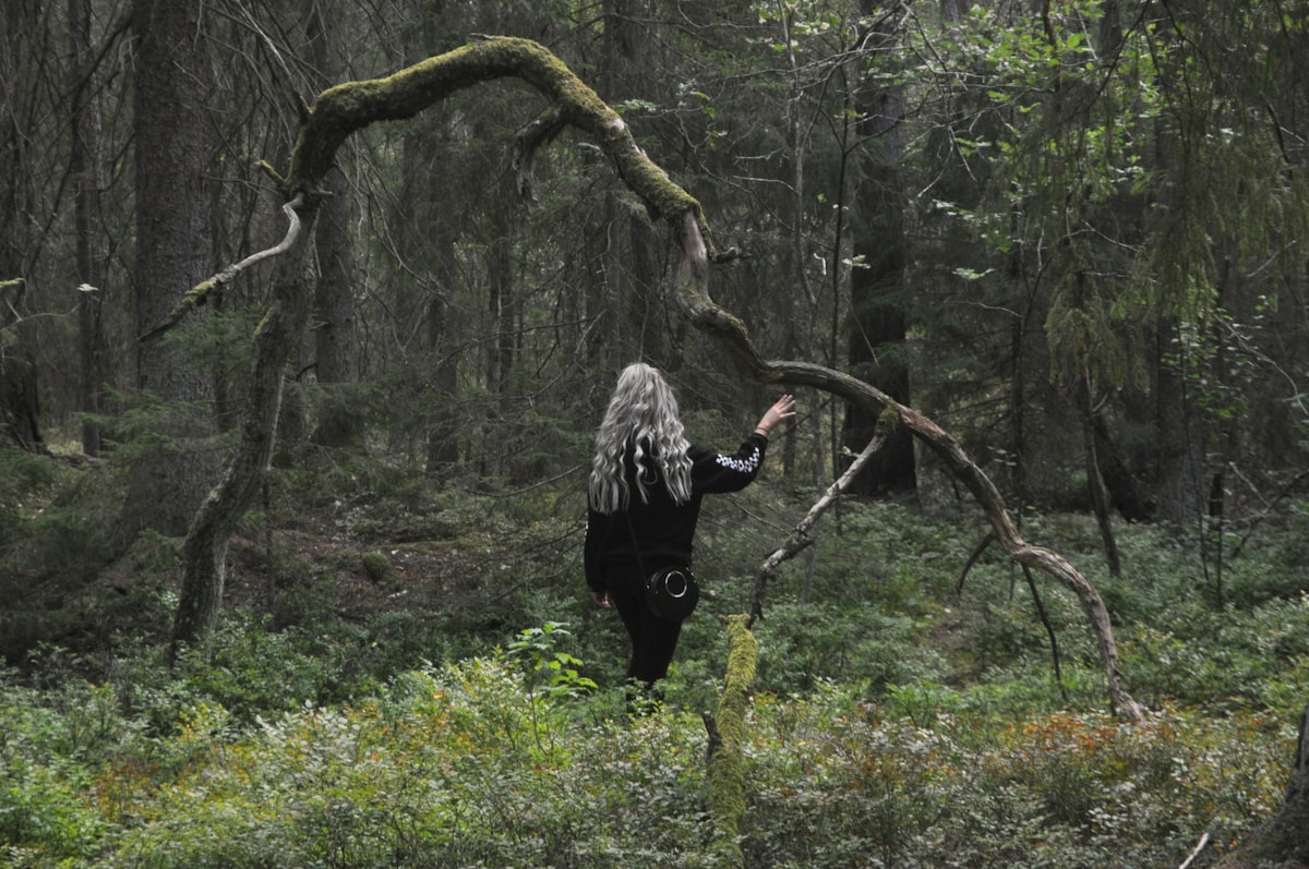 Relax and Slow Down with magic Forest Bathing