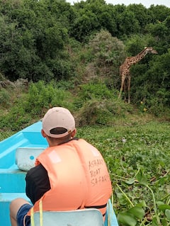 奈瓦沙湖日出与日落游船之旅