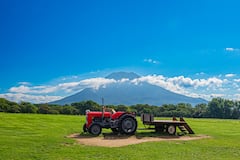 从札幌出发的登别、洞爷湖和新雪谷之旅