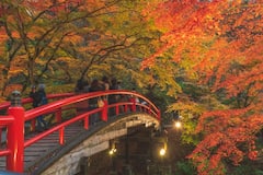 体验伊香保温泉和365级石阶